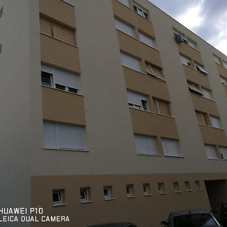 Apartment Mihaela Zadar Eksteriør bilde