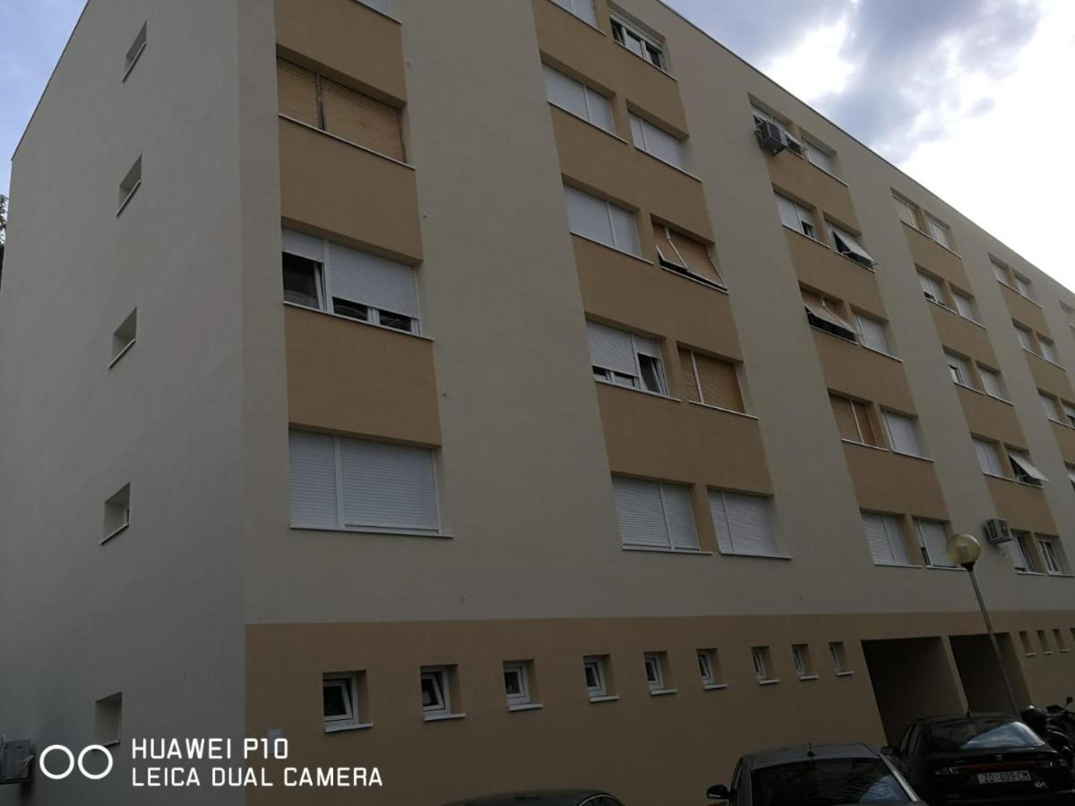 Apartment Mihaela Zadar Eksteriør bilde